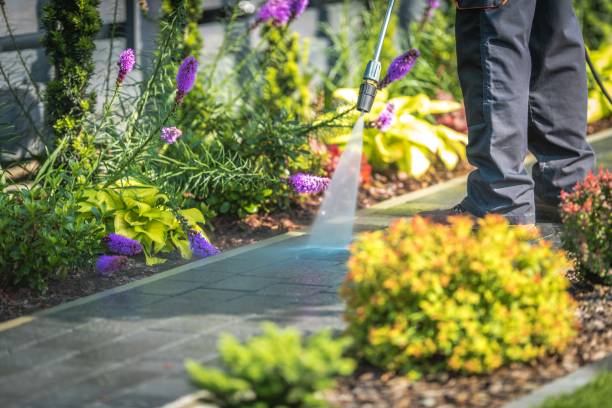 Best Patio and Deck Pressure Washing  in Polo, IL